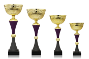 Trophy Yve purple-grey