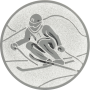 Standardemblem Ski-Abfahrt