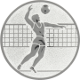 Standardemblem Volleyball Herren