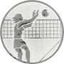 Standardemblem Volleyball Damen