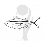 Standardmotiv Thunfisch