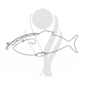 Standardmotiv Angelrute in Fischform