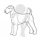 Standardmotiv Airedale Terrier