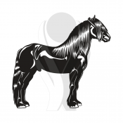 Standardmotiv Fell-Pony
