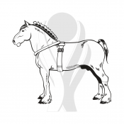 Standardmotiv Shire Horse