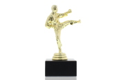 Kunststofffigur Karate Herren 14,0cm